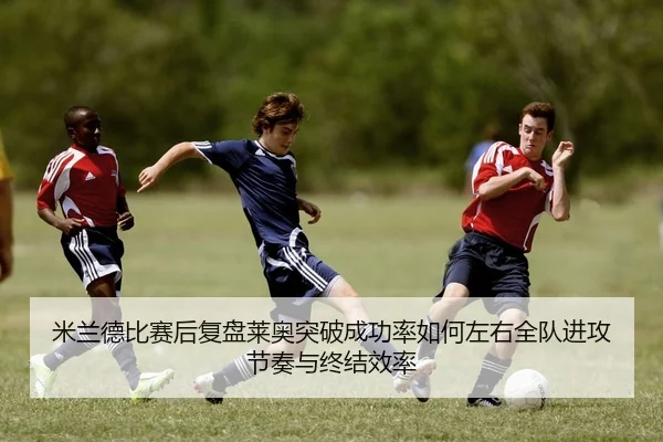 img_1784029006018_0_1_419.jpg